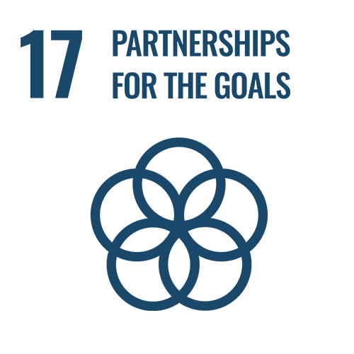 Sustainable Development Goals | Goal 17